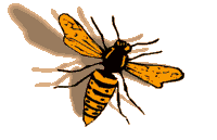 WaSP image